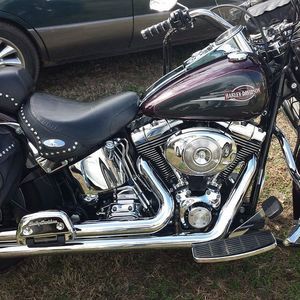 Meet your Posher, Joey